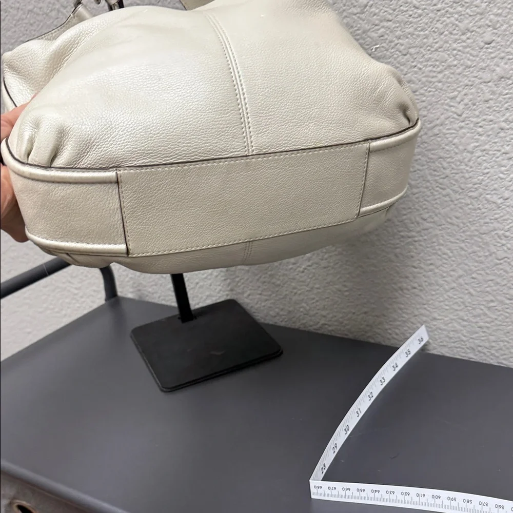 Coach Avery Pearlescent Small Hobo
